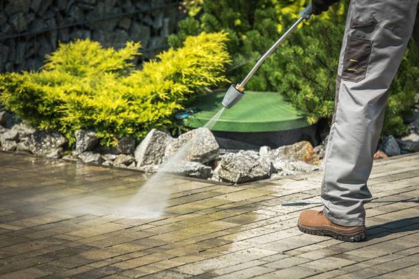 Best Fence Cleaning  in Seagoville, TX